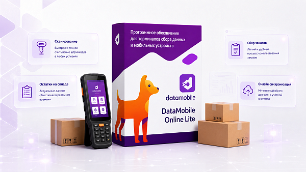 DataMobile, версия Online Lite