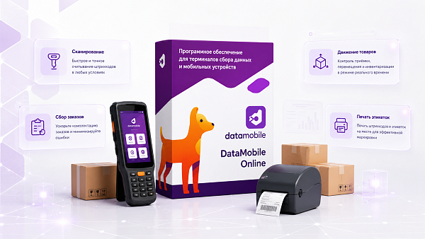 DataMobile, версия Online