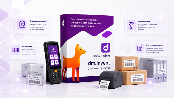 DM: Основные средства: Invent