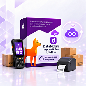 DataMobile, версия Online - LifeTime