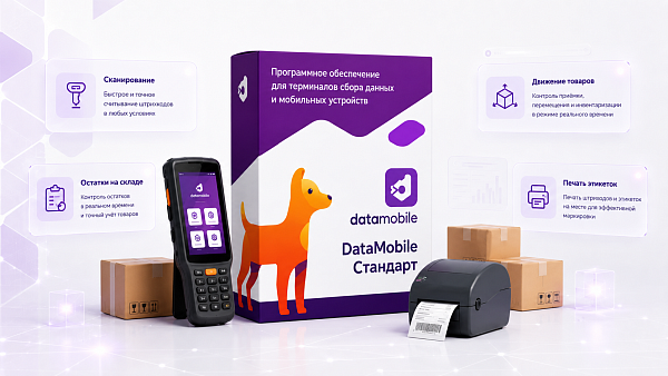 DataMobile, версия Стандарт