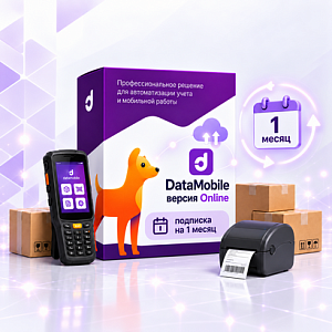DataMobile, версия Online - подписка на 1 месяц