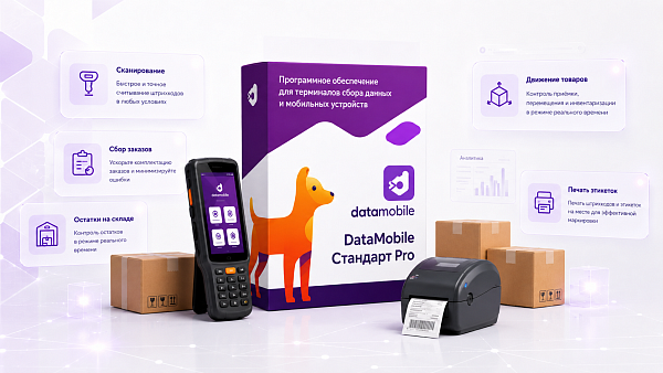 DataMobile, версия Стандарт Pro