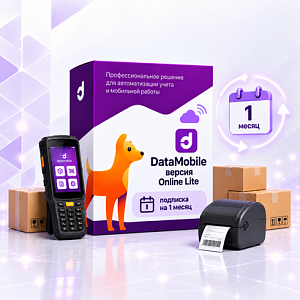 DataMobile, версия Online Lite - подписка на 1 месяц