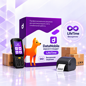 DataMobile, версия Стандарт - LifeTime